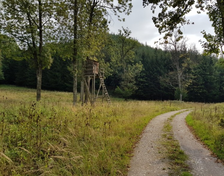 40 Forststraße von Klausner Straße weg bearbeitet