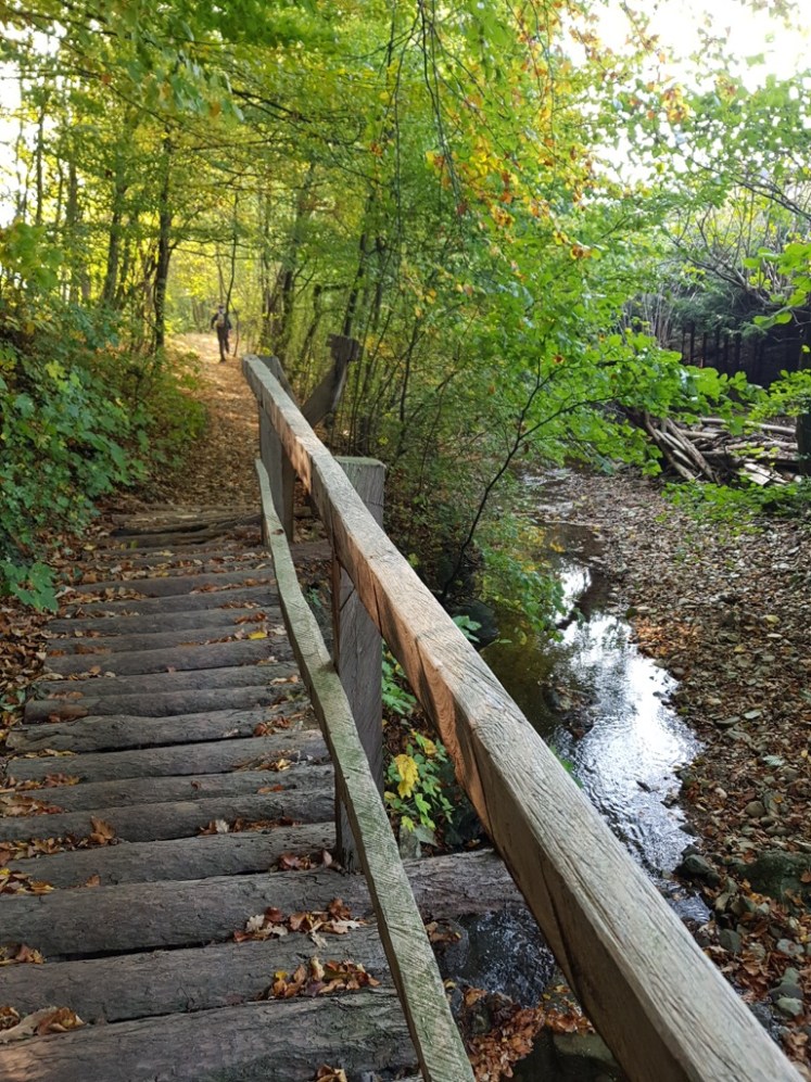 40 Weg nach Mauerbach hinterm Bach 2