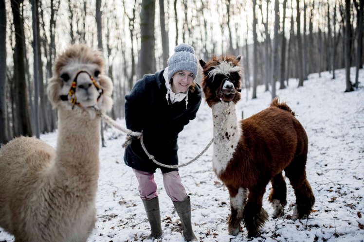 IMG_2386_alpaka_dieida