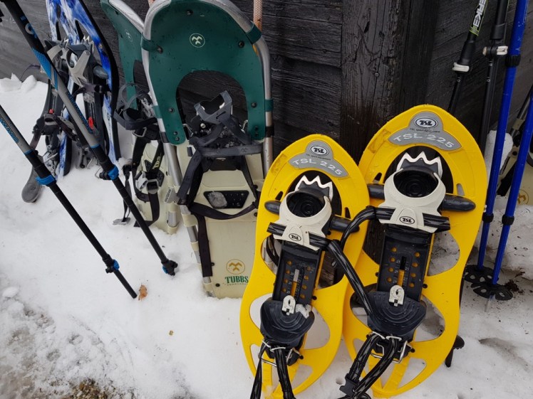 19 schneeschuhe