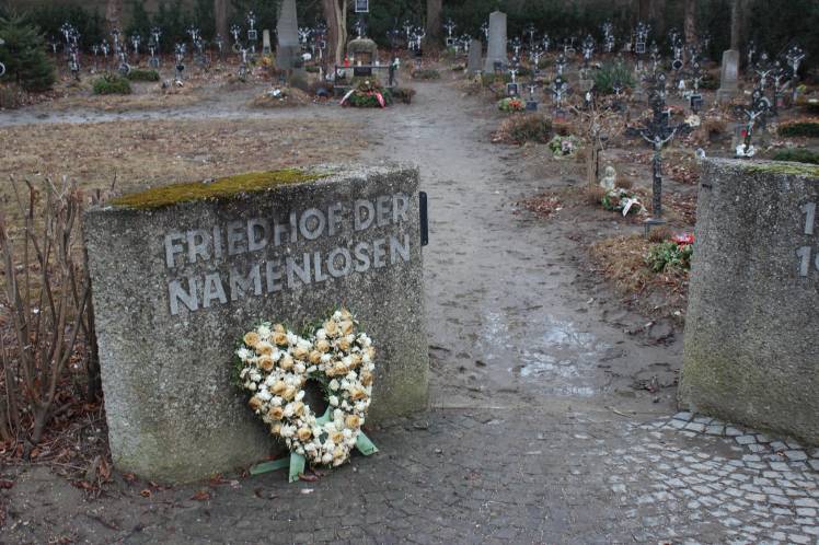 32182470913_074d7e4bf2_k