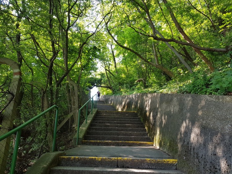 02 Nasenweg Beginn.jpg