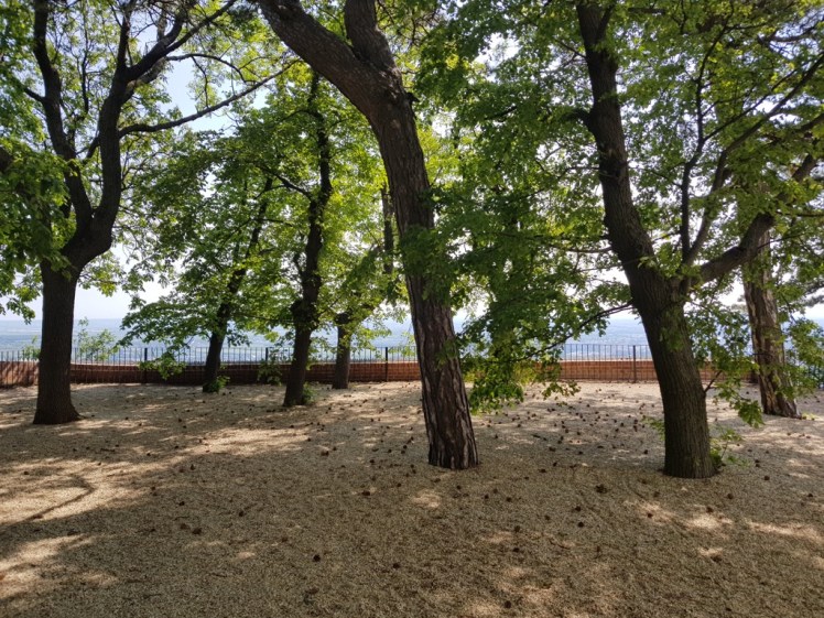 07 Aussichtsplattform ehem. Schanigarten.jpg