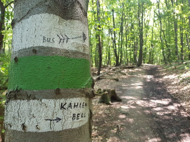 11 praktische Selbstmarkierung 2.jpg