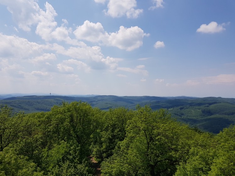 15 Aussicht von Habsburgwarte.jpg