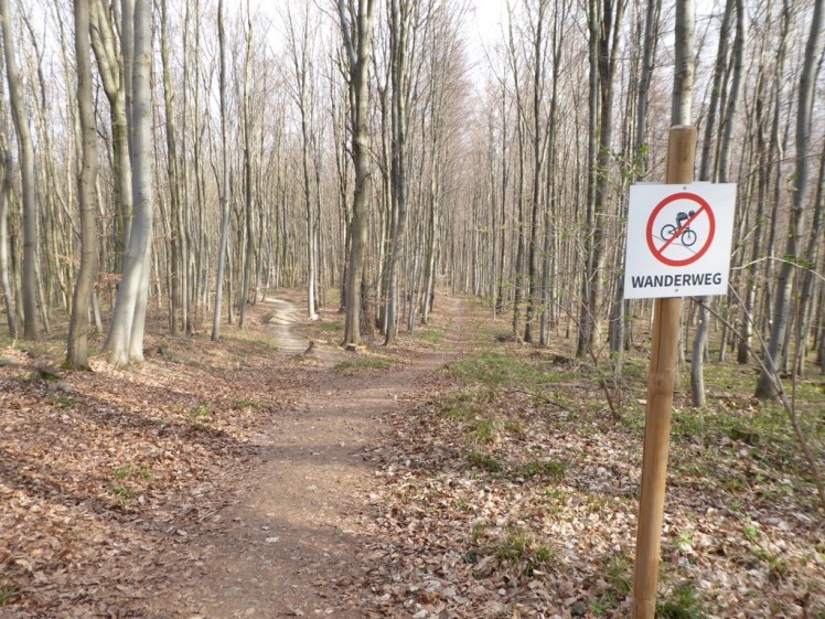 70 Wanderweg zwischen Mountainbike-Abfahrten.JPG