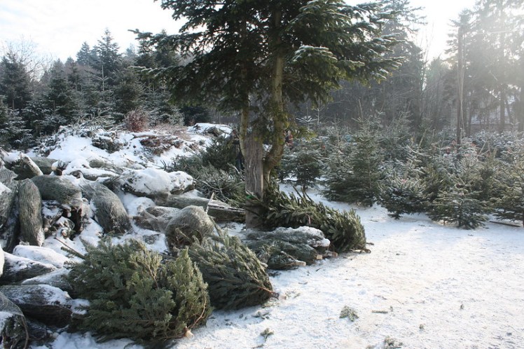 5273390761_948ce0869f_c