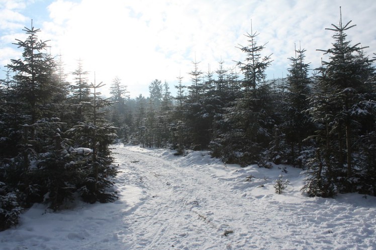 5273398487_4e03871734_c