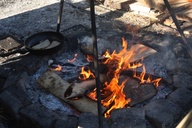 5274038964_01f4e8d730_c