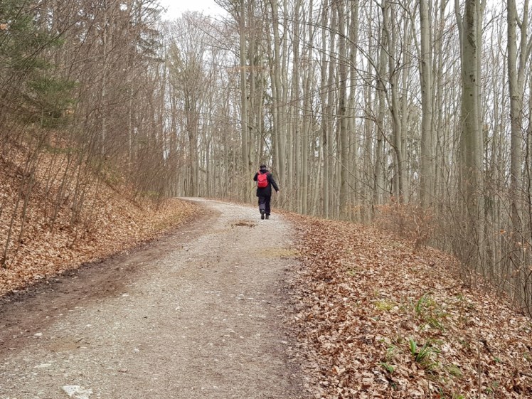 06 Wanderer Richtung Hochroterd