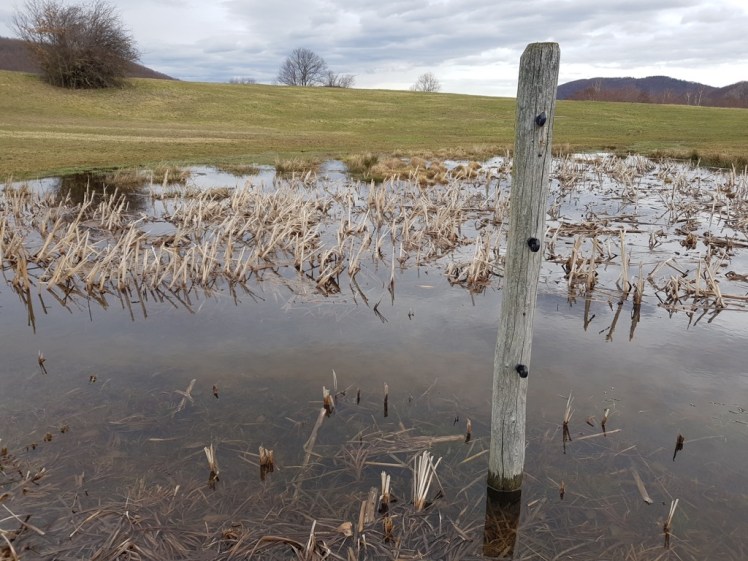 12 Regentümpelimpression nach Tabor