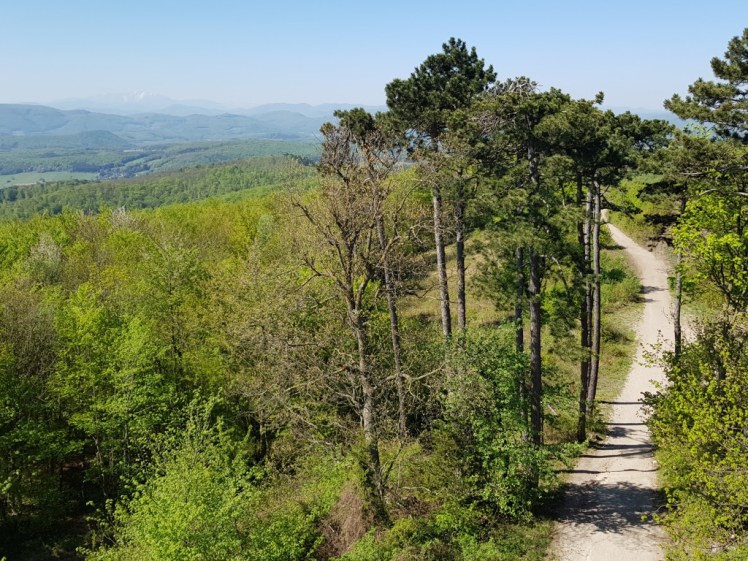 17 Aufstieg Höllensteinhaus mit Schneeberg