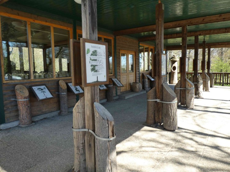 200408-2 Wiener Waldschule