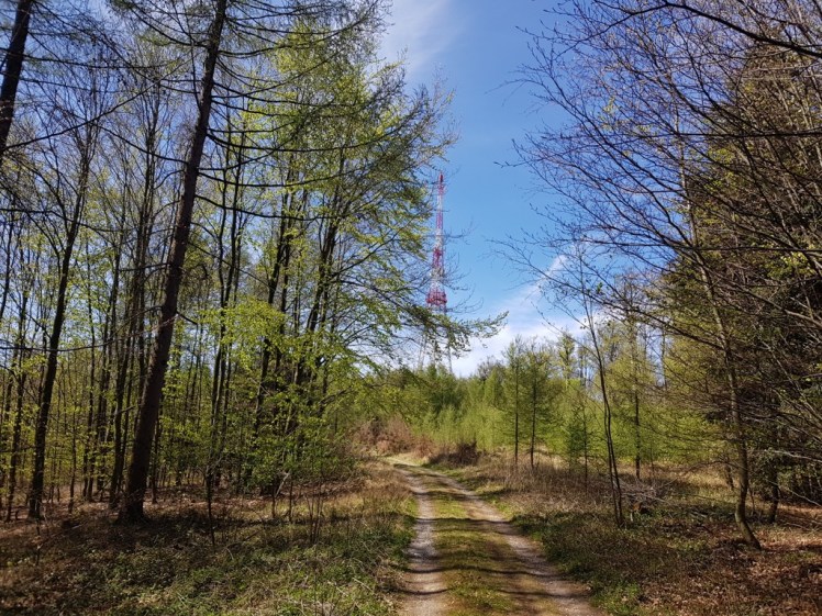 23 Aufstieg zur Sendestation Hochstraß