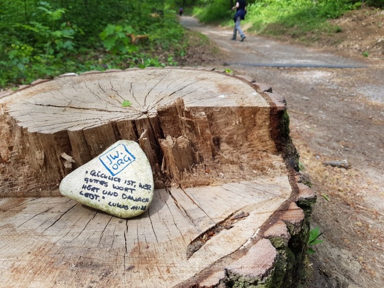 07 "Glücklich ist"-Sinnspruch