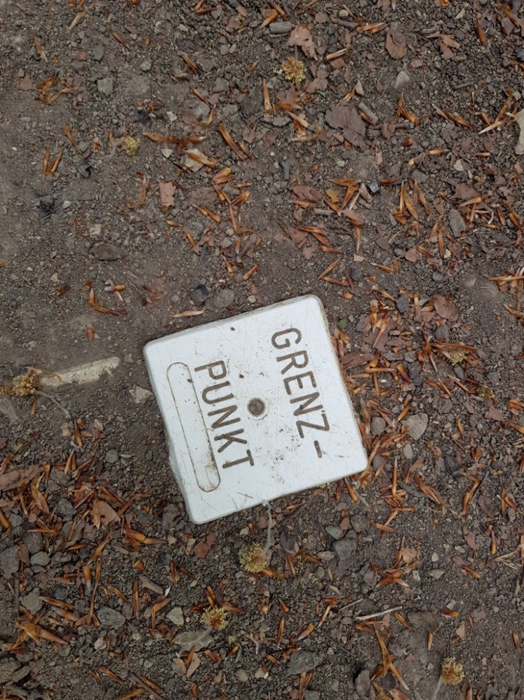 08 Grenzpunkt Waldboden