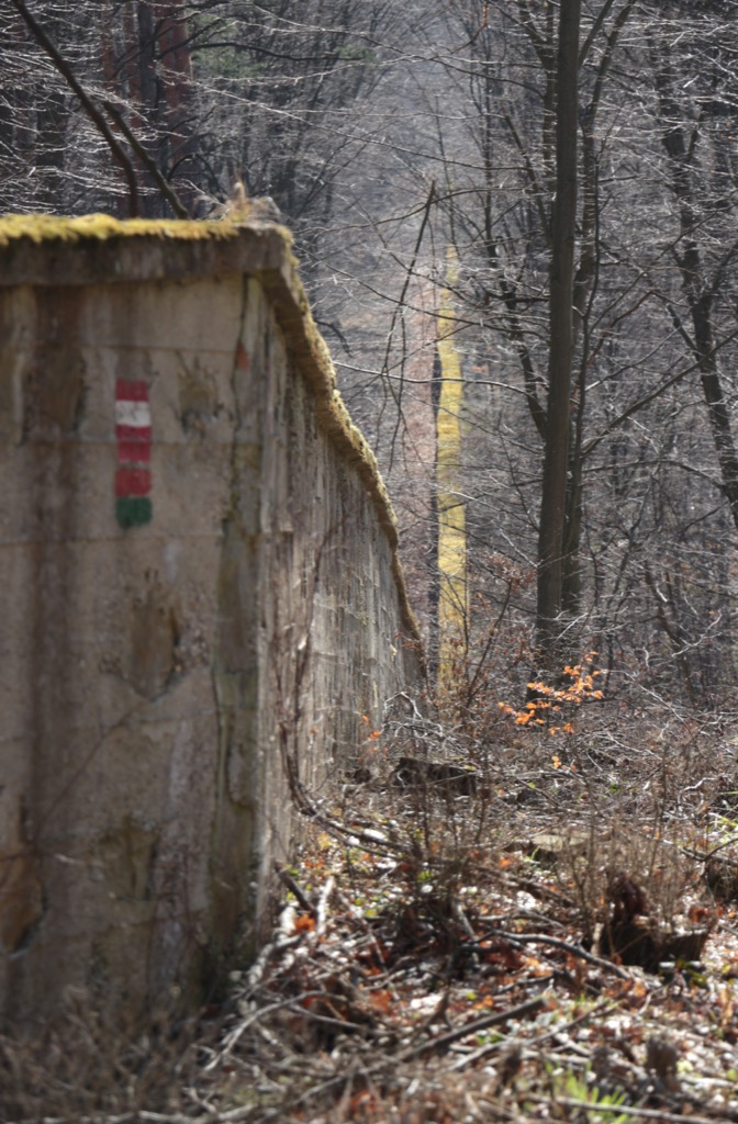 39 Mauer, bemoost _ es geht bergauf 1