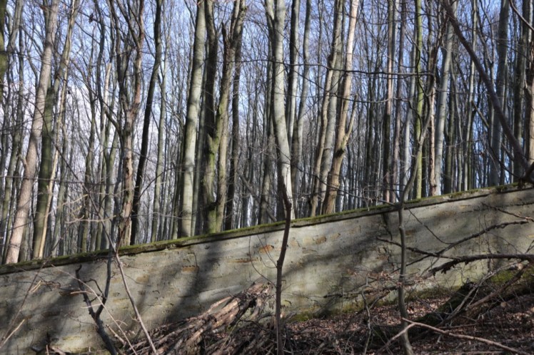 56 Dreihufeisenberg KEINE Selbstkontrolle Rundblick 1