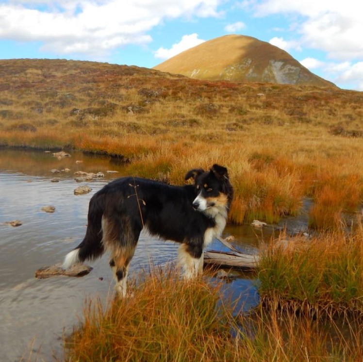 Lungau03H］dinHaselsee6749QU800a