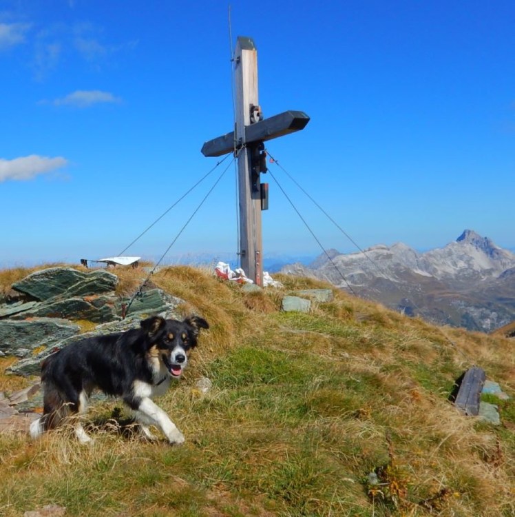 LungauH］din6668QU800