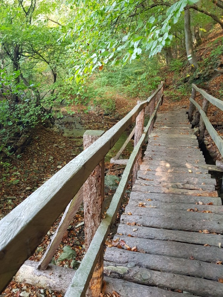 41 Weg nach Mauerbach hinterm Bach 3