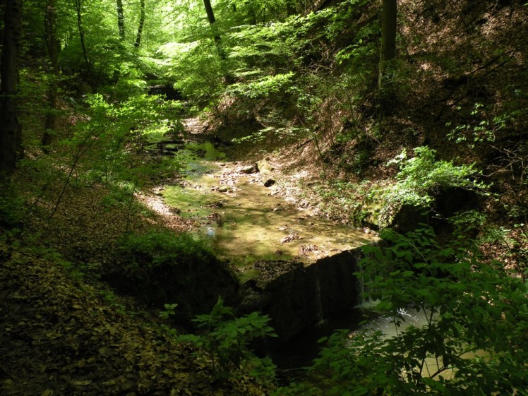 7. In der Hagenbachklamm 4.JPG