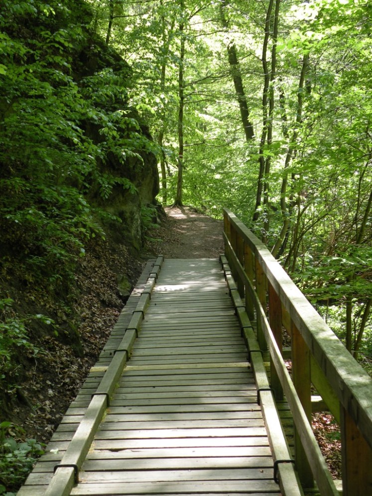 9. In der Hagenbachklamm 5.JPG