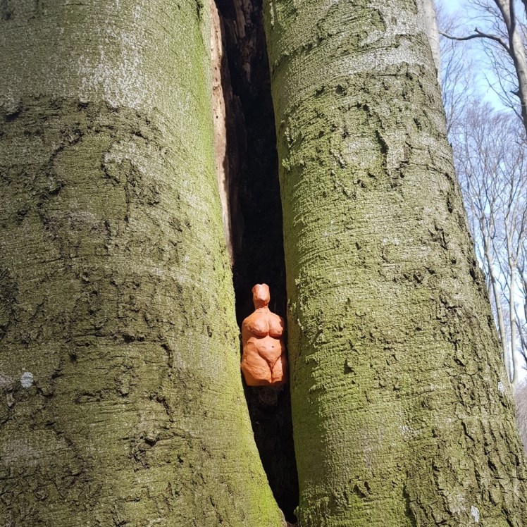05 Venus im Baum Abzweigung Allhang
