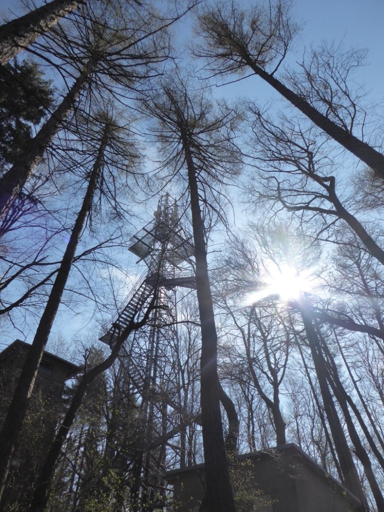 34 Troppbergwarten 2